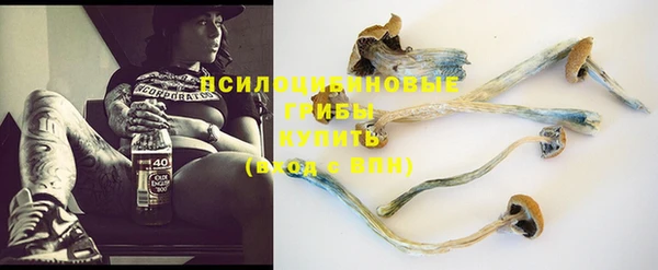 спайс Семёнов