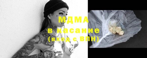 индика Алзамай