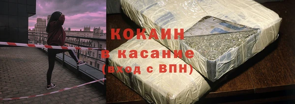 индика Алзамай